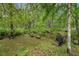 Backyard of this property featuring wetlands and lush greenery and foliage at 346 Ranch Rd, Tarpon Springs, FL 34688
