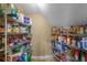 Walk-in pantry with ample shelving space for organized storage of food and household items at 5806 Terncrest Dr, Lithia, FL 33547