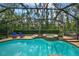 Beautiful screened-in pool and spa surrounded by lush landscaping, providing a private backyard oasis at 5806 Terncrest Dr, Lithia, FL 33547