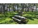 Scenic picnic area with picnic tables surrounded by lush green grass and mature trees at 600 Reserve Ln, Dunedin, FL 34698