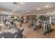 Community gym with a variety of cardio and weight training equipment at 10316 Carrollwood Ct # 57, Tampa, FL 33618