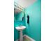 Bright powder room with a modern sink, mirror, and a towel hook on a teal colored wall at 10849 Kensington Park Ave, Riverview, FL 33578