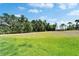 A grassy field stretches out, lined with trees, offering a natural and open space at 13042 Pennybrook Dr, Riverview, FL 33579