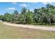 A gravel road is nestled next to lush greenery, featuring an overgrown natural landscape at 13042 Pennybrook Dr, Riverview, FL 33579