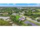 Aerial view of the neighborhood features large lots, mature trees, and a pond on the property at 19810 Prince Benjamin Dr, Lutz, FL 33549