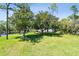 Expansive green space with mature trees, ideal for outdoor activities and relaxation at 36750 Us 19 N # 22212, Palm Harbor, FL 34684
