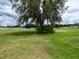 A lush green backyard with a large tree creating a tranquil setting, perfect for outdoor activities and relaxation at 3686 Zephyr Preserve Pl, Zephyrhills, FL 33541