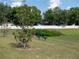 Scenic community park with lush greenery, a bench, and mature trees at 3686 Zephyr Preserve Pl, Zephyrhills, FL 33541