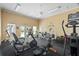 Spacious gym featuring various exercise machines and free weights for a complete workout experience at 4302 Bayside Village Dr # 102, Tampa, FL 33615