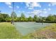 Outdoor basketball court featuring multiple hoops and surrounded by lush greenery at 5482 Salem Square N Dr, Palm Harbor, FL 34685
