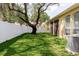 The lush backyard features healthy green grass, a mature tree, and a white privacy fence at 12506 Safari Ln, Riverview, FL 33579