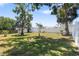 Landscaped backyard is enclosed with mature trees and privacy fencing at 1509 Coachlight Way, Dunedin, FL 34698