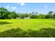 Expansive green backyard view of the home and grounds, surrounded by mature trees at 28628 Bennington Dr, Wesley Chapel, FL 33544