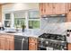 Kitchen countertops and stainless steel gas range with views of the screened outdoor living area at 28628 Bennington Dr, Wesley Chapel, FL 33544