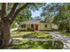 Charming yellow home featuring a bright red door, lush lawn, and mature trees at 617 Scotland St, Dunedin, FL 34698