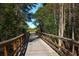 Scenic wooden boardwalk winding through lush green trees and leading to a serene pathway at 7770 Painted Sky Pl, Land O Lakes, FL 34637