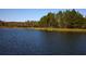 Beautiful pond reflecting the clear blue sky, enhancing the community's peaceful and natural setting at 7770 Painted Sky Pl, Land O Lakes, FL 34637