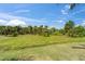 Spacious backyard with plenty of room for activities and surrounded by lush tropical trees and landscaping at 814 Manns Harbor Dr, Apollo Beach, FL 33572