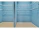 Walk-in closet with ample shelving and hanging space for maximum storage capacity at 1742 Oakwood Estates Dr, Plant City, FL 33563
