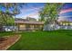 A beautiful backyard featuring lush green grass, a screened patio, and an attractive flower bed at 2925 Starmount Dr, Valrico, FL 33596