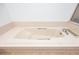 Relaxing soaking tub with jets for ultimate comfort and luxury at 2925 Starmount Dr, Valrico, FL 33596