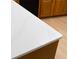 A close-up view of the kitchen island's stunning countertop surface and finish at 2925 Starmount Dr, Valrico, FL 33596