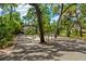 Exterior view of the modern home showcasing the long paved driveway and mature shady trees at 4701 Rambling River Rd, Brandon, FL 33511