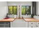 Farmhouse sink with brass faucet set beneath windows showcasing lush greenery at 4701 Rambling River Rd, Brandon, FL 33511