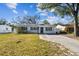 Single-story home boasts blue trim, mature landscaping, and a welcoming facade at 610 N Woodlynne Ave, Tampa, FL 33609