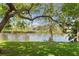 Scenic backyard view overlooking a serene pond, enhanced by mature trees at 10339 Lightner Bridge Dr, Tampa, FL 33626