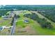 Beautiful home from above, surrounded by lush greenery in a peaceful neighborhood at 111 Alafia Estates Ln, Plant City, FL 33567