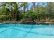 Tranquil pool with a stone waterfall feature and lush landscaping at 14817 Tudor Chase Dr, Tampa, FL 33626
