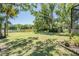 A sprawling lawn with mature trees offers tranquil views of the adjacent lake, great for outdoor recreation at 15810 Stanton Ln, Tampa, FL 33647