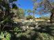 Exterior shot of community shuffleboard court surrounded by bushes and green trees at 1845 S Highland Ave # 6-11, Largo, FL 33756