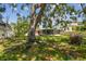 Private backyard featuring a spacious screened-in lanai, mature trees, and well-manicured lawn, providing a serene outdoor retreat at 2607 S Bryant Cir, Tampa, FL 33629
