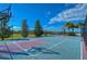 Community basketball court with well-maintained surface and net, surrounded by green landscape at 2816 Graphite Ct, Valrico, FL 33594