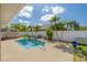Backyard pool with clear water and palm trees at 384 Tavernier Cir, Oldsmar, FL 34677