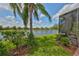 Lush backyard with a lake view, palm trees, and flowers, creating a serene and tropical outdoor space at 4811 Sandy Glen Way, Wimauma, FL 33598