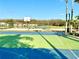 Outdoor basketball court with blue and green surfaces, framed by palm trees, and the lake in the background at 5454 Saddlebrook Way # 2, Wesley Chapel, FL 33543