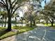 Community view with a lakeside road lined with lush trees and vegetation, with the sun shining through the canopy at 5454 Saddlebrook Way # 2, Wesley Chapel, FL 33543