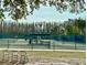 Tennis courts surrounded by fencing, palm trees, and lush greenery, complete with seating for spectators at 5454 Saddlebrook Way # 2, Wesley Chapel, FL 33543