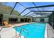 Large pool with screened enclosure, lounge chairs, and plenty of patio space for outdoor entertaining and relaxation at 838 Park Ct, Palm Harbor, FL 34683