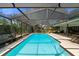 Inviting screened-in pool with clear blue water, surrounded by lush greenery, and lounge chairs for relaxation at 838 Park Ct, Palm Harbor, FL 34683