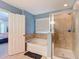 Bathroom featuring a shower and a soaking tub with natural light at 1105 Canyon Oaks Dr, Brandon, FL 33510