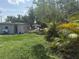 Backyard featuring mature trees and greenery, providing a peaceful and private outdoor space at 1204 E Camellia Dr, Brandon, FL 33510
