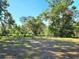 Spacious backyard with lush green grass and mature trees, providing a serene and private outdoor setting at 12121 Wildbrook Dr, Riverview, FL 33569