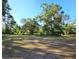 Expansive backyard featuring mature trees, providing plenty of shade and privacy for outdoor enjoyment at 12121 Wildbrook Dr, Riverview, FL 33569