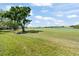 Scenic view of the community golf course with beautiful trees and open space at 2017 Skimmer W Ct # 416, Clearwater, FL 33762