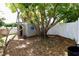 This backyard features a tree and tool shed at 3302 Eisenhower Dr, Holiday, FL 34691