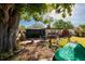 Shaded backyard featuring a patio, shed, and green space, ideal for relaxation and outdoor enjoyment at 4126 Carson Ne St, St Petersburg, FL 33703
